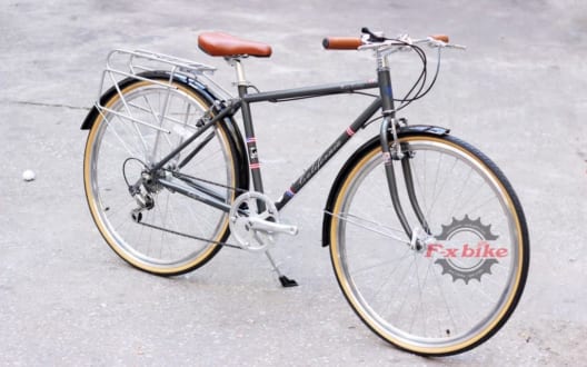 Xe Đạp California City 200